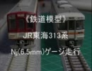 ≪鉄道模型≫JR東海313系Njゲージ(1/150　6.5mm)走行