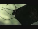 【DS】ゲーム下手な男が単身デーモンへ挑んでみたり【実況】 第三十二章