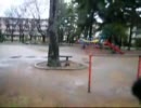 【団地萌】ひばりが丘団地2008