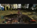 【DivineSoul】クローズβテスト【ファイター】狩人の森 BOSS戦