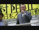 平沼赳夫「尖閣諸島は絶対に守る！」