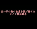 【萌えもん】ダーク.ライの逆襲　第五話【鬼畜３Ｒｄ＋】