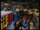 ＷＷＦ　Royal Rumble　1993 3/5　 ロイヤルランブル　ＷＷＥ