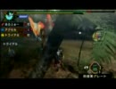 【MHP3】雷光と槍と虹彩鳥【プレイ動画】