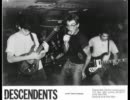 Descendents - Silly Girl
