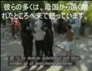 ようこそスウェーデン第三位の都市マルモへ