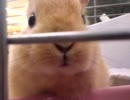 もひもひ