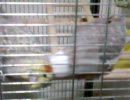 掻いて～♪その１