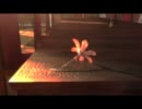 【歌ってみた】VOiCE【徠夢】