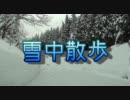 【車載動画】雪中散歩　国道401号線　喰丸峠