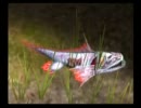 【ネクロネシア】 虫だって悩むし　悲し虫 【実況プレイ】part2