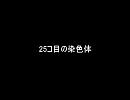 RADWIMPS｢25コ目の染色体｣を歌ってみた