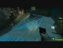 【L4D2】 バニホ自殺