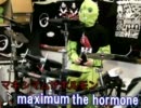 【ドラム】ホルモン新曲　maximum the hormone【叩いてみた】