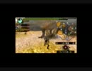 へたれが勢いでやったMHP3実況モドキ Part3