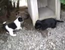 映像記録1