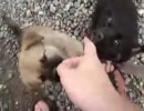 映像記録3