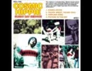 サニーデイ・サービス - Cosmic Hippie