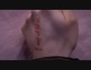 【ハリポタ】 RiddleTM 「I Must Not Tell Lies」 【WizardRock】
