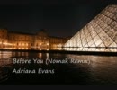 Adriana Evans - Before You (Nomak Remix)