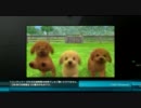 ニンテンドー3DS TVCM集 その5（ARゲームズ・カメラ・nintendogs+cats 篇）