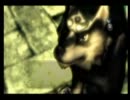 【自己満動画】ゼルダの伝説トワイライトプリンセス実況！Part4