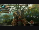 モンハン3rdをモニョモニョとプレイしてみた part6