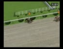 【ダビつく５】競馬界を制圧する旅【実況】（縛りつき）.part46