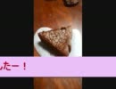 簡単にチョコを使って作ってみた（。・ω・。）