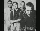skrewdriver  back with the gang
