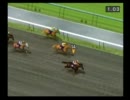 【ダビつく５】競馬界を制圧する旅【実況】（縛りつき）.part47