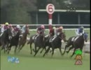 【競馬】2009.11.29　新馬戦　ペルーサ