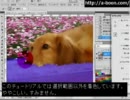 Photoshop 簡単な合成写真の作り方
