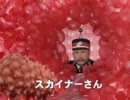 スカイナーAL錠　｢出始めガード｣B篇