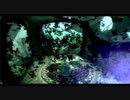 【Oblivion】SI導入部分演出