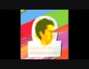 Delicate Steve - wondervisions