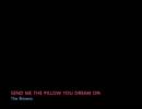SEND ME THE PILLOW YOU DREAM ON / The Browns