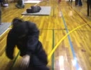 どうひ！　またの名をセンシ転体