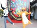 【猫耳ぱんだ】ハッピーシンセサイザ　踊ってみた【朱鷺】