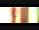 LIA ICES - Daphne (feat. Justin Vernon)