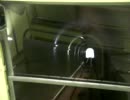 麻耶観光ホテル