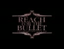 GRANRODEO LIVE TOUR 2011 REACH FOR THE BULLET＠仙台をメドレーで振り返ってみた