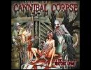 高音質洋楽メタル紹介【24】　Cannibal Corpse - Psychotic Precision