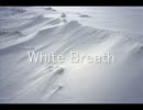 T.M.Revolutionの  "White Breath"を歌ってみました。