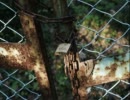 ガチホモがPlastic Treeのスライドを歌って弾いてみた