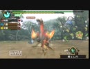 【MHP3】ヘタレギャルの狩り日記　Part26　前篇