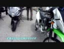【車載動画】KLX125で行く林道 Part6【ツーリング】