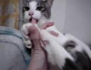 ナテコ070412