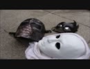 【TMF】チルノのパーフェクトさんすう教室踊ってみた【茨城】