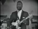 MUDDY WATERS -hoochie coochie man (1960)